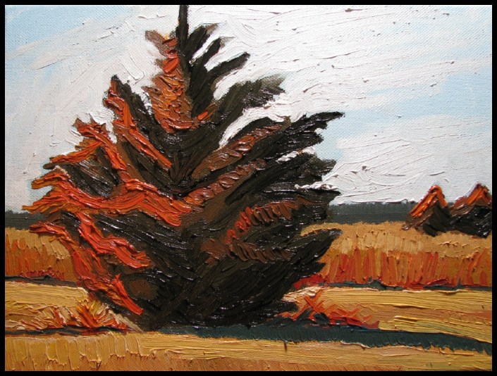 Western Red Cedar Alone