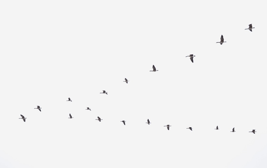 Last of December's Sun18