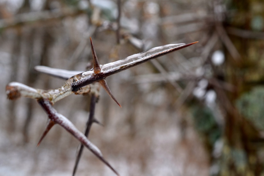 Last of December's Sun30