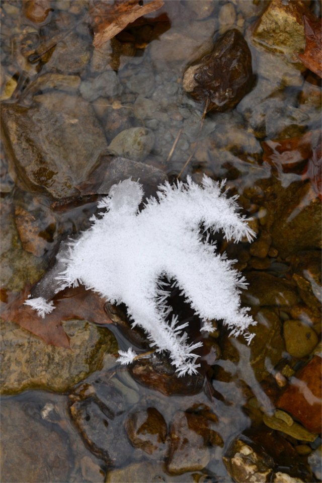 Last of December's Sun31