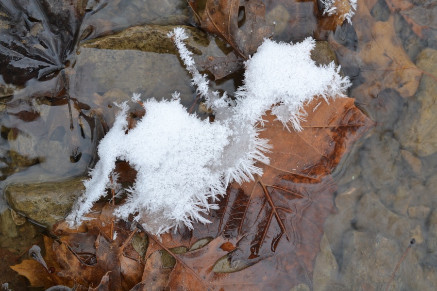 Last of December's Sun32