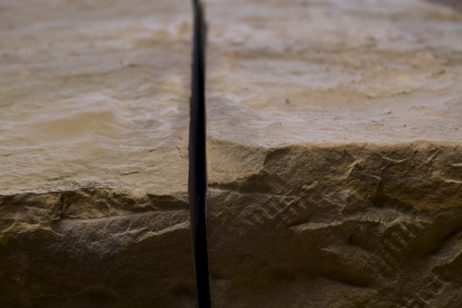 everything, everything03