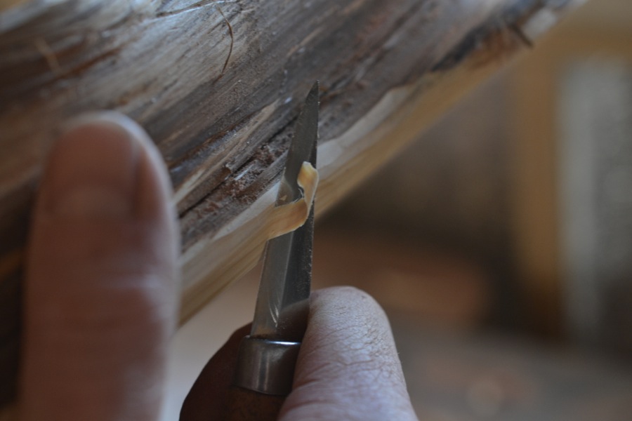 everything, everything06