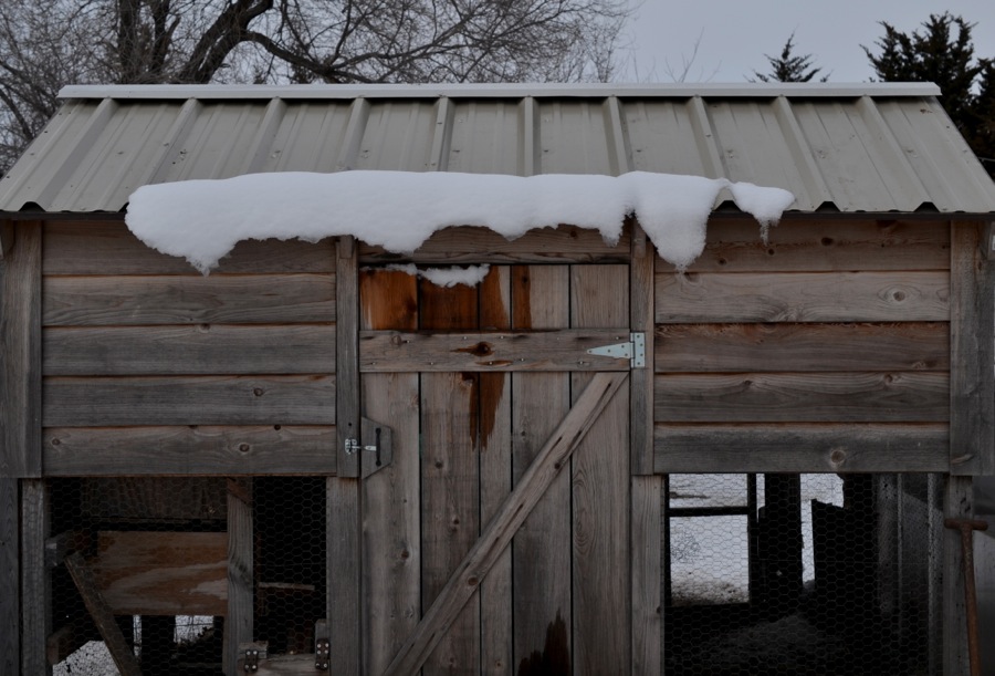 everything, everything24