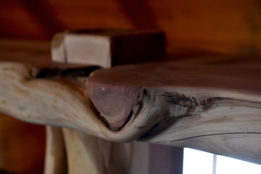 everything, everything26