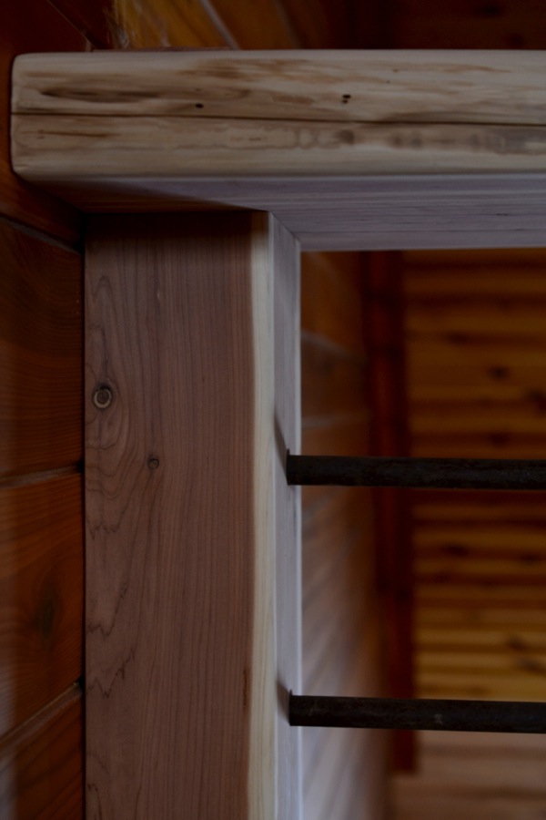 everything, everything28