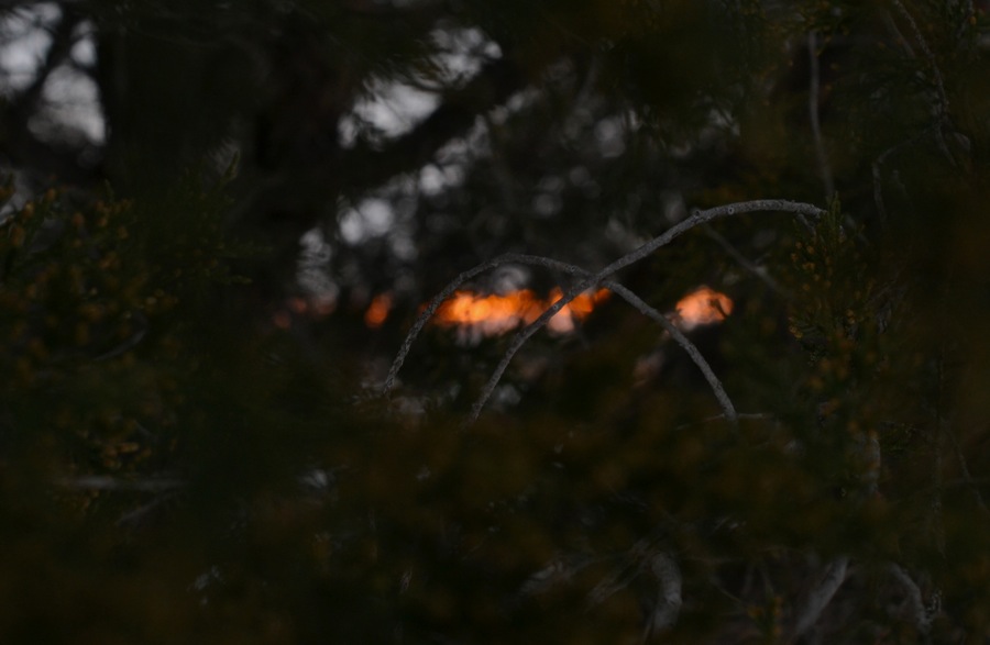 everything, everything32