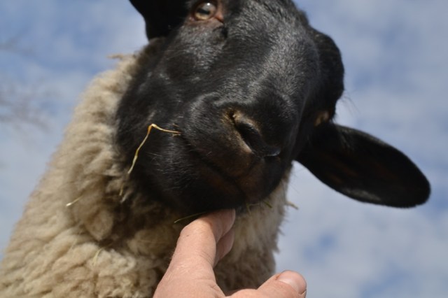 from beginning to end