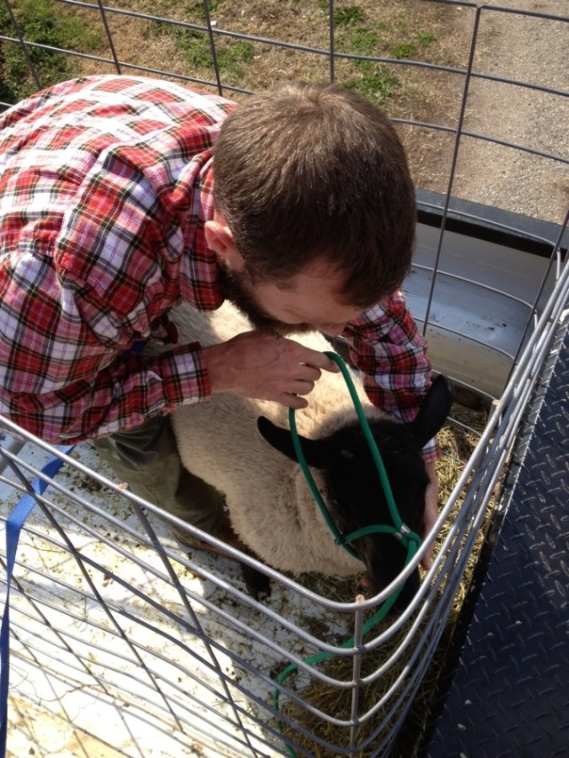 I led him to slaughter