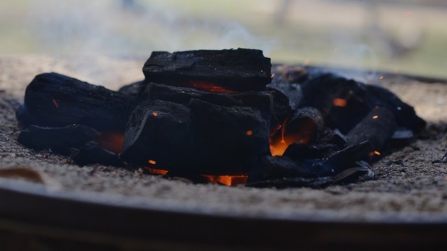 come with a stone tree15