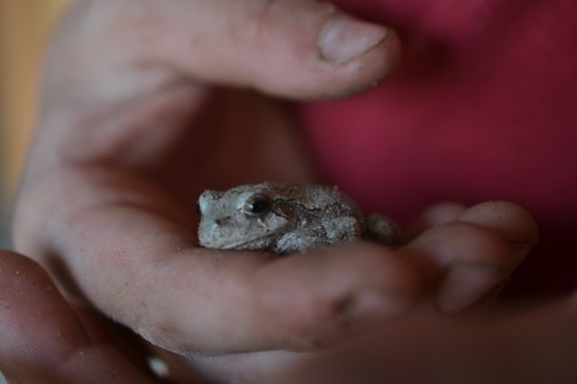 Landscape Hewn and Tender 01