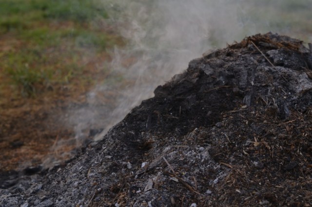 Landscape Hewn and Tender 05