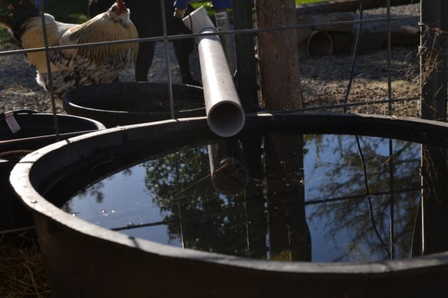 Landscape Hewn and Tender 17