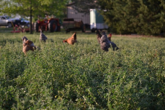 Landscape Hewn and Tender 35