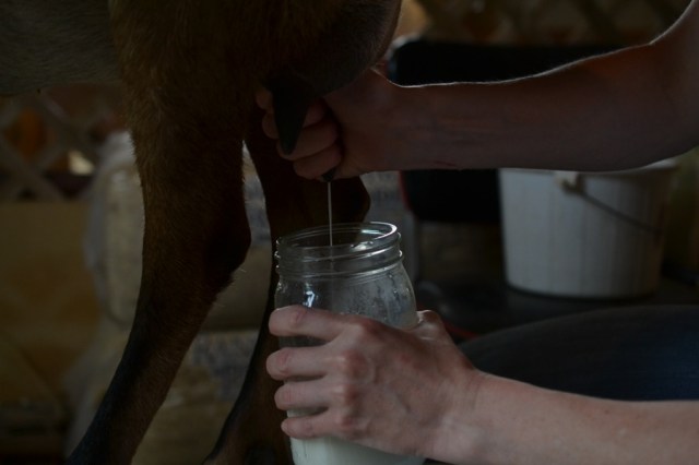 Landscape Hewn and Tender 36