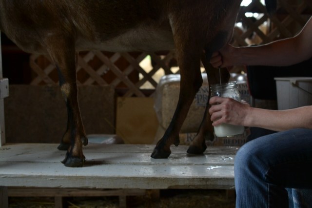 Landscape Hewn and Tender 37