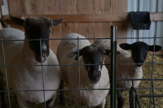 Landscape Hewn and Tender 38