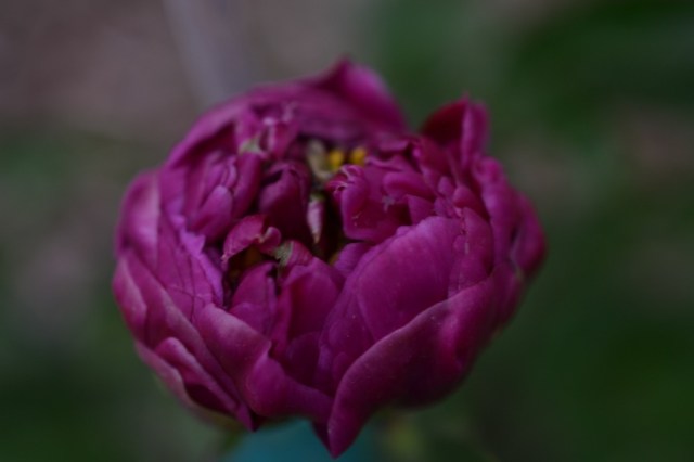 Landscape Hewn and Tender 45