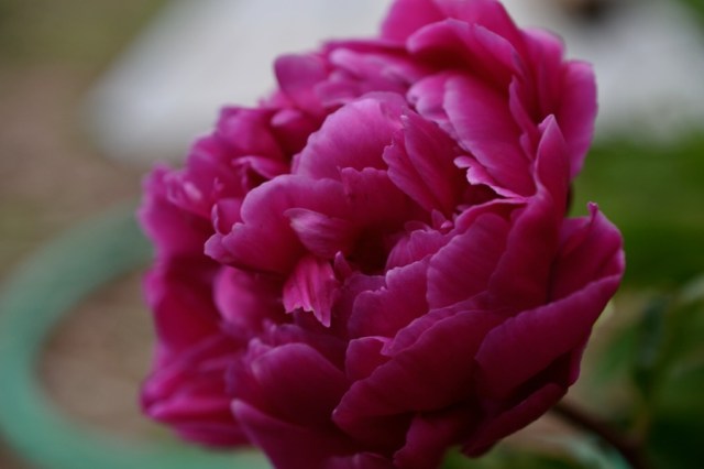 Landscape Hewn and Tender 46