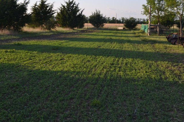 Landscape Hewn and Tender 50