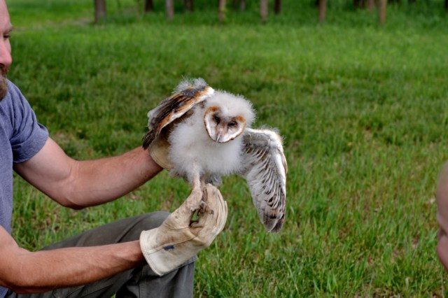 Landscape Hewn and Tender 54