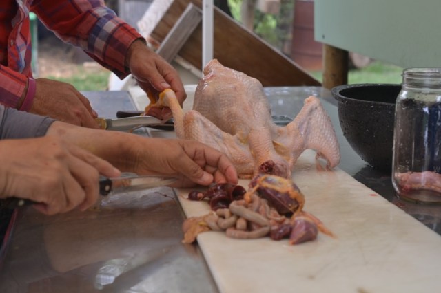 chicken butchering03