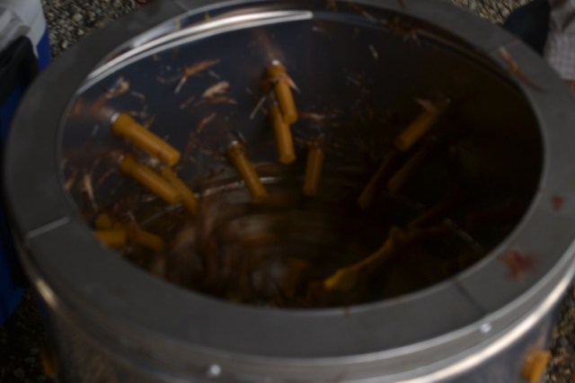 chicken butchering07