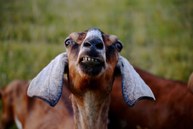 There is a deeper root02