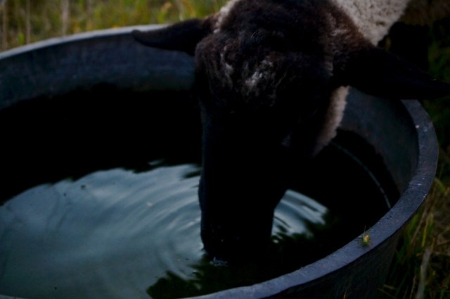 There is a deeper root05