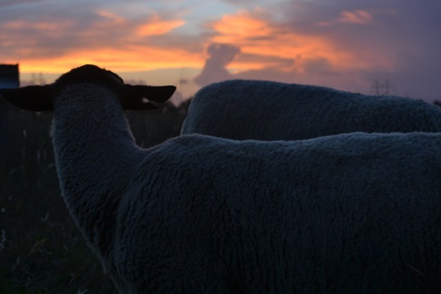 There is a deeper root07