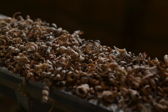 There is a deeper root12