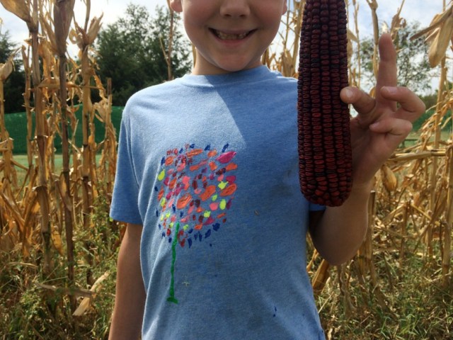 There is a deeper root14