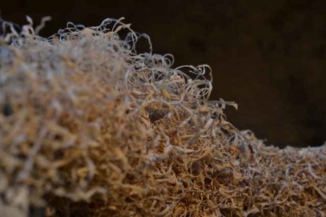 There is a deeper root16