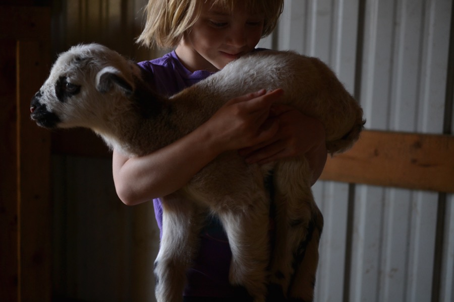 Priests of the Land02