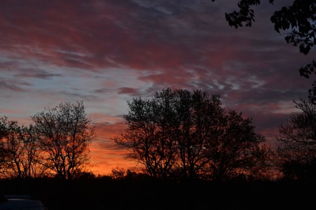 Priests of the Land13