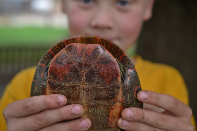 Priests of the Land19