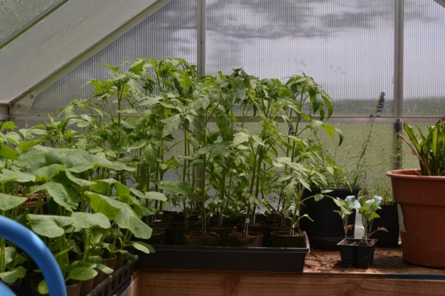 Priests of the Land21