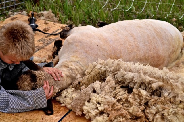 Priests of the Land28