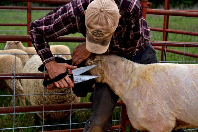 Priests of the Land34