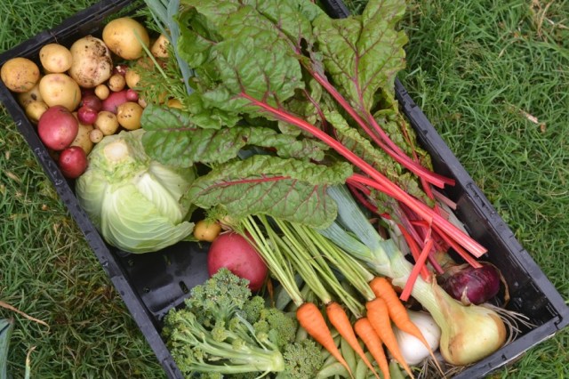 holy, the lesser saints03