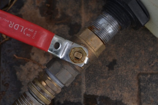 holy, the lesser saints04