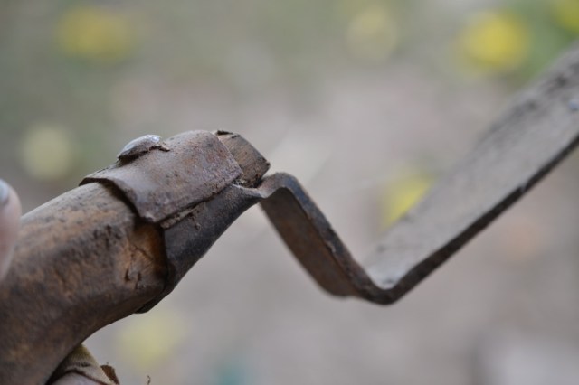 holy, the lesser saints11