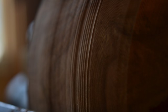 holy, the lesser saints15