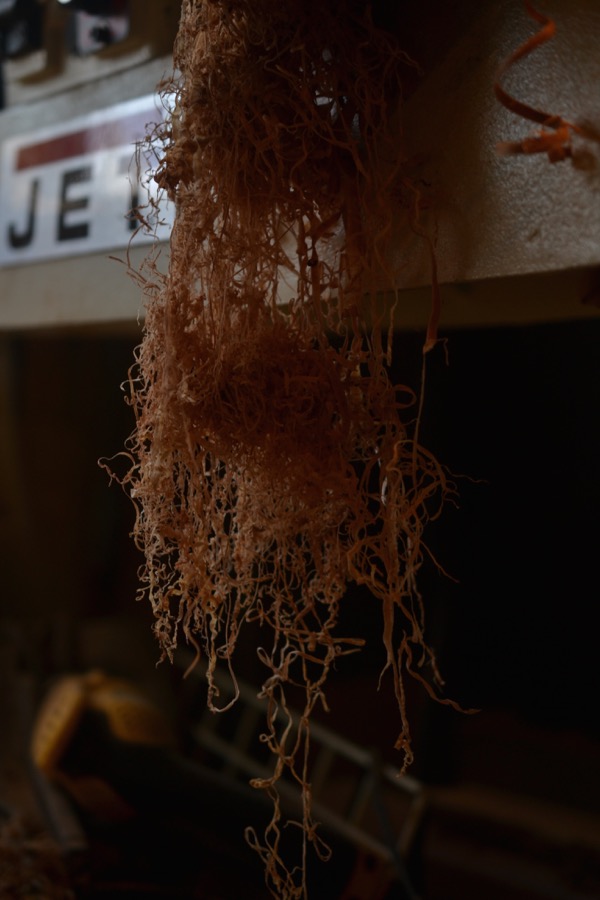 holy, the lesser saints16