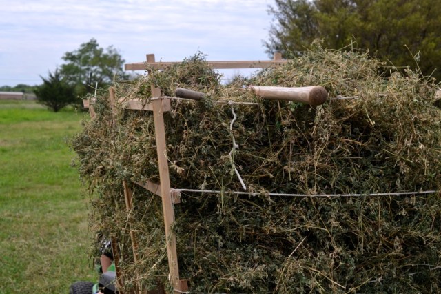 holy, the lesser saints26