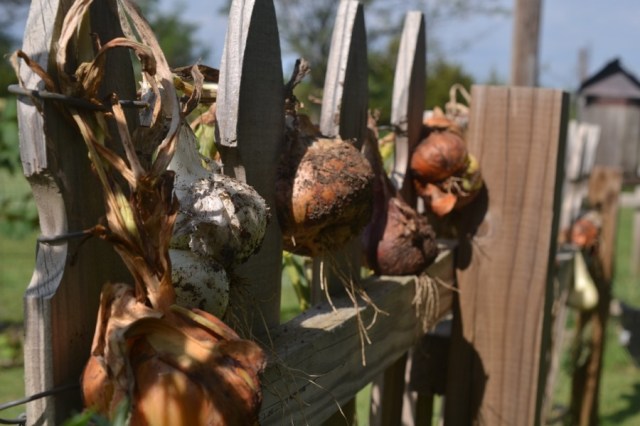 holy, the lesser saints28