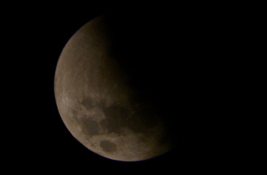 husbandry in harvest03