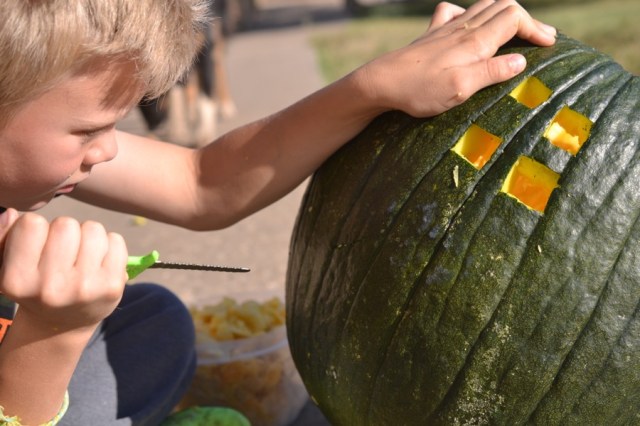 husbandry in harvest07