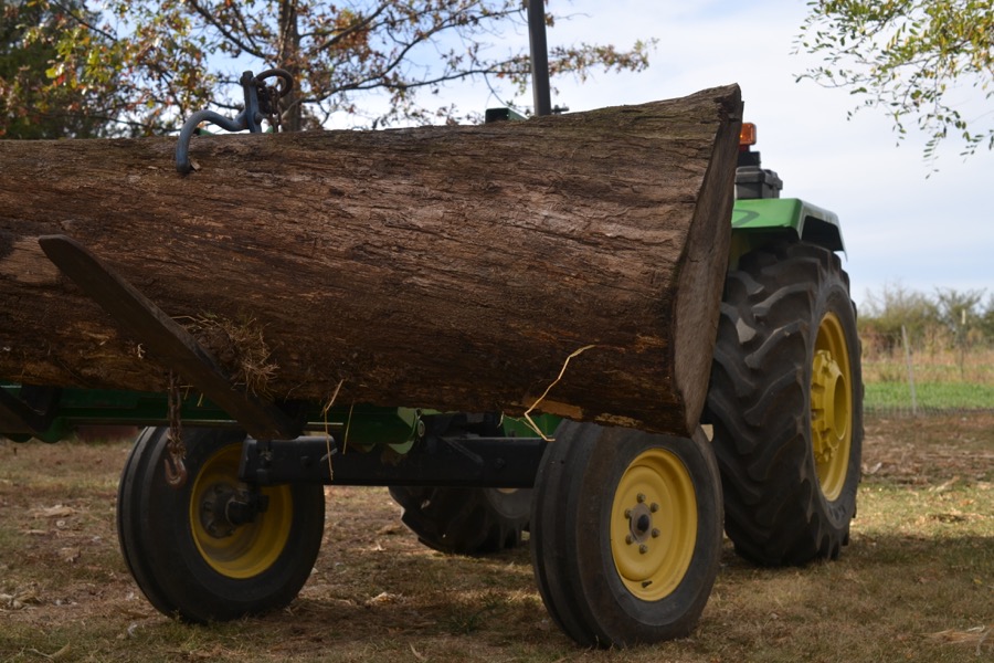 husbandry in harvest11