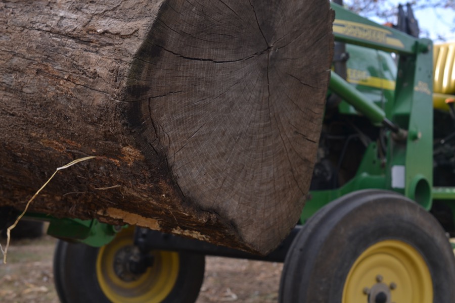 husbandry in harvest12